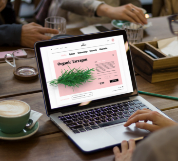 Squarespace owns web design–now it’s coming for email 2