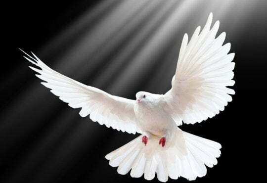 Dove Takes Another Crack at Industry Beauty Standards With ‘No Digital Distortion’ Mark 4