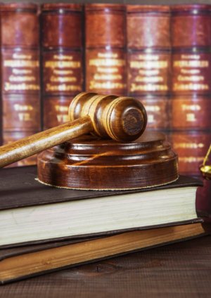 Population control law needed for communal harmony: Giriraj Singh 50