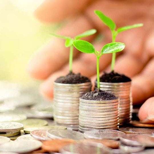 China's March belongings funding grows most in eight months on looser policy 28