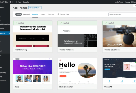 What is WordPress hosting? Learn more about the world's most popular CMS 3