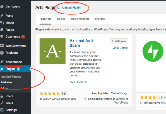 How to Install WordPress Plugins, Step-by-Step 5